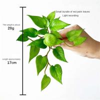Mechones artificiales suaves, hojas de árboles tropicales de plantas verdes, hojas de hierba de la suerte para bonsái doméstico, nuevo - details 9