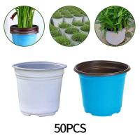 Semillas de plantación de plástico, cultivo de plantas pequeñas y jugosas, ETA gruesa para viveros, accesorios de jardín - details 2