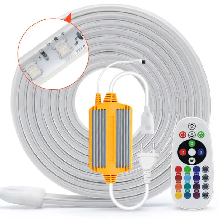 Tira de luces LED RGB SMD5050, cinta de diodo impermeable con Control remoto, lámpara de jardín al aire libre, decoración del hogar, 220V, 60Leds/m - 1