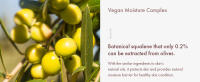 Vegan Kombucha Tea Lip Balm