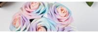 Rosas