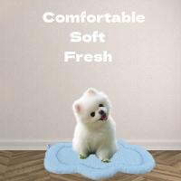 Alfombrilla de Mascota de Verano Refrescante Almohada de Gato en Forma de Nube para Perros - details 2
