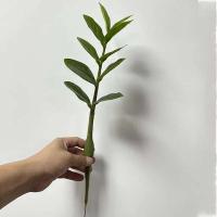 Higo: ramas de plantas artificiales, hojas de plástico falsas de dinero, árbol de banyan verde para el hogar, dormitorio, decoración de tienda de jardín - details 2
