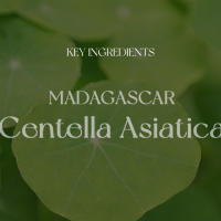 SKIN1004 Suero facial en ampolla de Centella asiática de Madagascar 3.38 fl.oz(100ml) - details 14