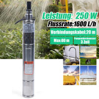 Bomba de Pozo Profundo Submersible de Acero Inoxidable Bomba de Agua Potente de 250 W con Tasa de Flujo Alta de 1600 L/h para Jardín - details 2