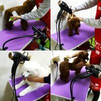 Soporte de Secador de Pelo para Mascotas Perro y Gato Accesorios de Cuidado de Mascotas Soporte Fijo para Secador de Pelo sin Manos - details 13