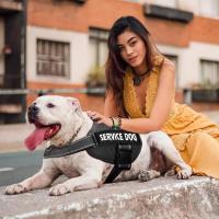Arnés de control Chaleco de alto servicio, collar acolchado con parches extraíbles, terapia emocional EA para perros, NO PET XXL XL L M - details 6