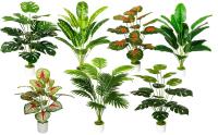zelihrdu Plantas artificiales