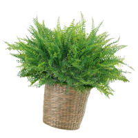 12PIEZas de Hilo de Fleco Artificial Verde Decoración de Hogar y Boda para Estante de Libros, Ventana y Sillón - details 4