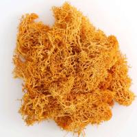 Musgo eterno, manualidades DIY, hierba, 20/40/100g, plantas verdes artificiales, decoración del hogar, habitación, jardín, mini país, hierba falsa - details 10