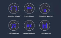 Schematic Diagram of Muscle Exercise in Each Part