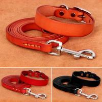 genuino mascotas pequeños, medianos grandes, Collar cuero duradero ustable para perros y cachorros, conjunto de correas XS-XL - details 11