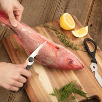 Juego de utensilios de acero inoxidable clásico de chefs set de 10 piezas con cuchara cacerola tenedor cuchillo tijeras y 4 broches para camping - details 1