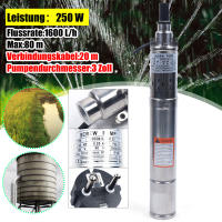 Bomba de Pozo Profundo Submersible de Acero Inoxidable Bomba de Agua Potente de 250 W con Tasa de Flujo Alta de 1600 L/h para Jardín - details 1