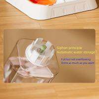 Alimentador automático para gatos, cuenco para gatos 2 en 1, cuenco de comida para gatos de autoservicio, dispensador de comida - details 4
