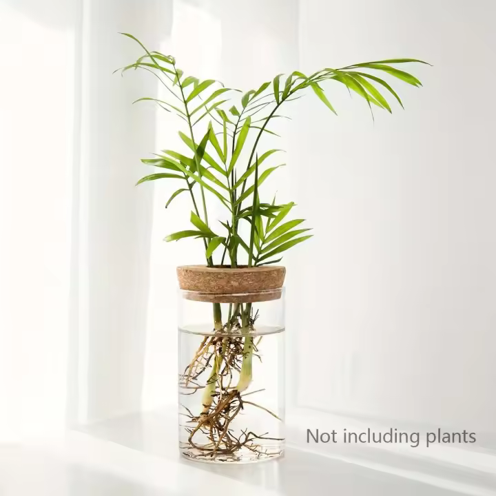 1 unidad, florero de cristal para plantas para ración doméstica, estación de propagación de plantas, florero de brotes, hidroponía de escritorio - 1