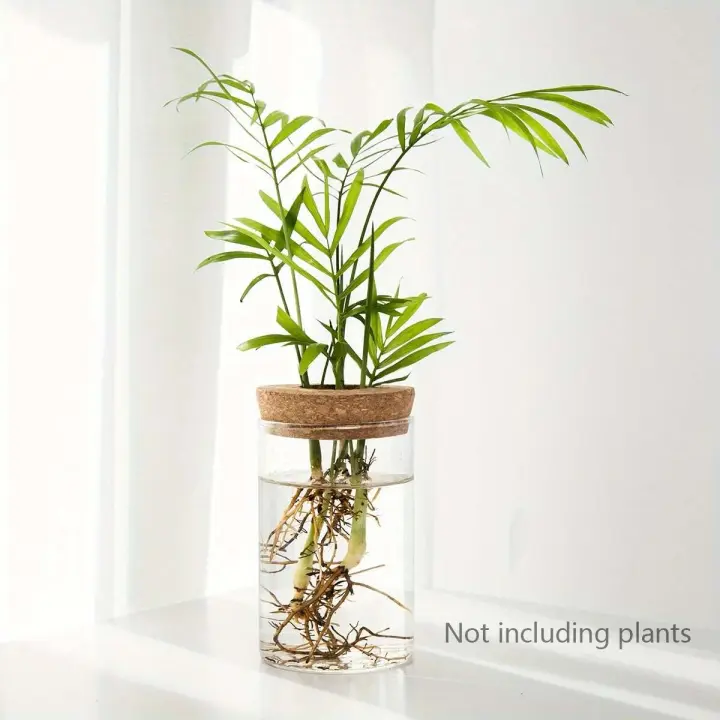 1 unidad, florero de cristal para plantas para ración doméstica, estación de propagación de plantas, florero de brotes, hidroponía de escritorio - 1