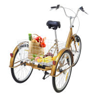 Bicicleta de 24 pulgadas para adultos triciclo 6 velocidades 3 ruedas con cesta de almacenamiento y luz en colores negro/oro/plata - details 2