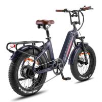 FAFREES F20 Master Bicicleta Eléctrica, Marco de Fibra de Carbono, Motor de 500W, Batería de 48V 22.5Ah, Neumáticos de 20*4,0 Pulgadas de Espesor, Frenos hidráulicos dobles, SHIMANO de 7 Velocidades, Pantalla LCD en color, Aurora Gris - details 1