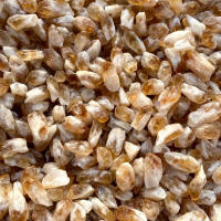 Combo de citrino de amatista Natural, trozos de puntos de cristal, cristales curativos, paisajismo, decoración de pecera Feng Shui, 100g - details 3