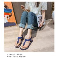 Sandalias Planas para Mujer 2025 Chanclas de Playa con Hebilla Metálica y Bordado - details 21