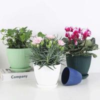 Flor de plástico planta jugosa circular ETA, raya vertical ETA con bandeja, decoración de escritorio para el hogar y la oficina - details 2