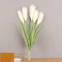 5 uds 50cm caña hierba simulación flor cola de perro hierba decoración de la sala de estar flores secas ramo de caña falsa - details 1