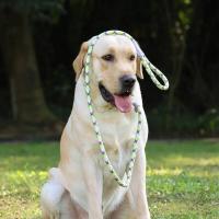 Cadena duradera nailon mascotas, Collar correa de tracción perros medianos y grandes, Correa antideslizante para cachorros - details 2