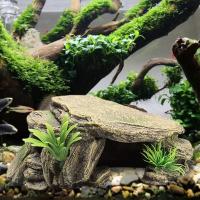 Hábitat para esconder reptiles, caja para reptiles, terrario, cuevas escondidas para tortuga, acuario, terrario, decoración, adorno - details 5