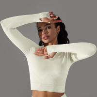 -Top Camisa deportiva de yoga de manga larga a rayas para mujer, sin costuras, que absorbe la humedad - details 37