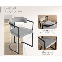 2 Sillas de Cocina con Reposabrazos, Sillas de Salón Modernas con Patas Metálicas Sillas de Descanso Simples para Hogar/Restaurante - details 2