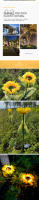 Lámpara Solar de jardín para exteriores, simulación de girasol, césped, paisaje nocturno, decoración del hogar, luz de flores - details 3