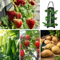 Bolsas para cultivo de fresas, suministros de plantación de jardín de alta resistencia con mango para patios traseros, terrac y - details 3