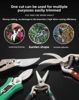 Tijeras de Jardinería Damaly Tijeras de Podado de Árboles Frutales de Acero SK5 - details 4