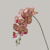 9 ramas artificiales de Phalaenopsis de cabeza, flor de orquídeas de mariposa Artificial hecha a mano realista, flores falsas de tacto Real - details 6