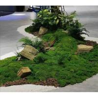Césped de musgo de seda simulada, musgo artificial falso, diseño de paisaje de musgo de lana simulada, césped, bonsái, planta en maceta, pavimento - details 2