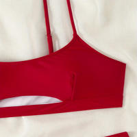 2025 nuevo traje de baño dividido sin tirantes para mujer, Bikini Sexy de playa, traje de baño de aguas termales - details 18