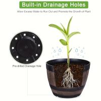 Barriles de whisky vintage, ETA circular de 9 pulgadas para interior y exterior, ETRO jugoso para jardines - details 2