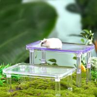 Plataforma transparente para hámster, soporte desmontable de altura ajustable para paisajismo, jaula decorativa para mascotas - details 5