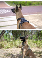 TRUELOVE-arnés a prueba de Escape con bolsillo con cremallera, chaleco táctico para perro, mochila militar de entrenamiento de fácil Control, YH1811 - details 13