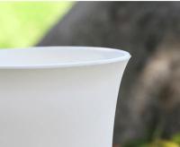 Lavabo de pelo antiguo para plantas suculentas, lavabo Vientiane, maceta de plástico redonda gruesa mate de cintura alta, jardinería en blanco y negro - details 11