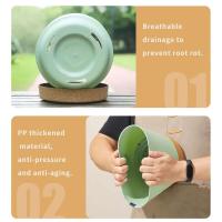 ETA interior circular grande de plástico para plantas jugosas, bonsái eterno con bandeja de drenaje, decoración del hogar y jardín - details 9