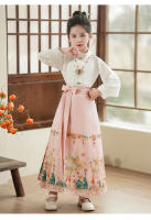 Falda con cara de caballo para niña, conjunto modificado Hanfu, disfraz antiguo Ming Tang de estilo chino para niña, verano para niños - details 16