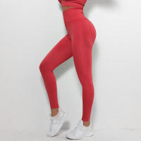 Leggings deportivos para mujer para gimnasio Fiess Running Yoga Clothing - details 2