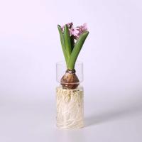 DIY Micro paisaje claro jacinto maceta de vidrio botella terrario contenedor wer florero para el hogar Oficina r - details 4