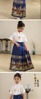 Nuevo conjunto Hanfu con cara de caballo para niñas, estilo Tang antiguo chino Ming para niños, primavera y verano diarios - details 15