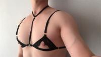 CLEVER-MENMODE-Lencería de encaje transparente para hombre, sujetadores eróticos, ropa de dormir Sissy, cuello Halter, arnés con correas ajustables, Mini sujetador para hombre - details 3