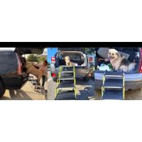 Dog Stairs