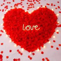 6000/100Pcs Artificial Fake Rose Petals Colorful Red White Gold Roses Petal Flowers for Romantic Wedding Party Favors Decoration - details 4