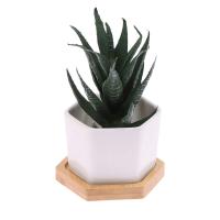 Maceta de cerámica hexagonal blanca con bandeja, maceta Europea Simple, contenedor de plantas suculentas, macetas pequeñas para bonsái - details 20